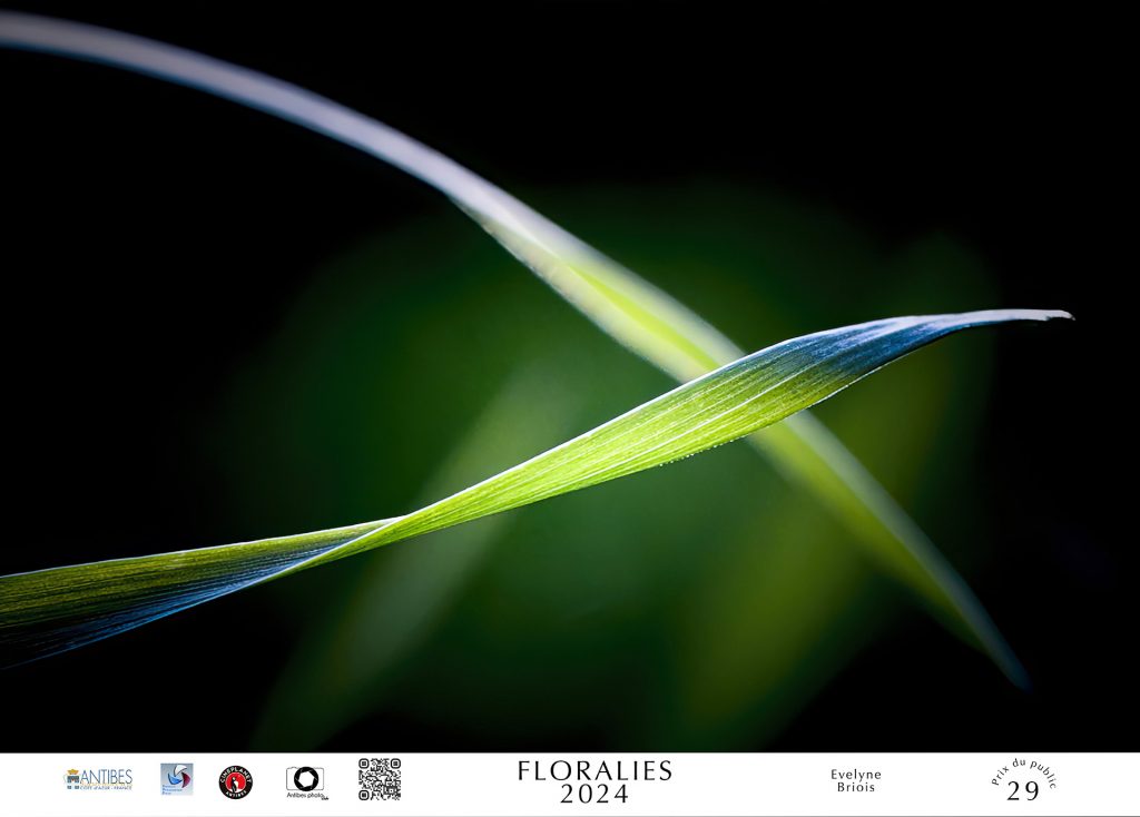 2ème prix du concours photo "Floralies Antibes" 2024 • Evelyne BRIOIS