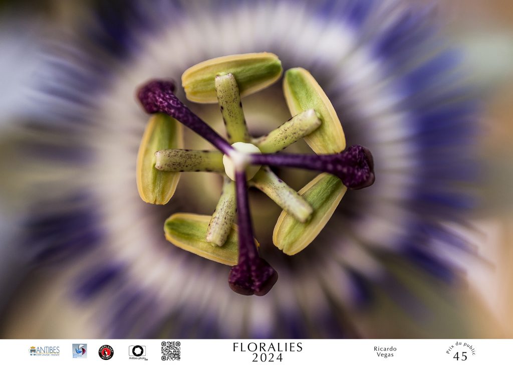 3ème prix du concours photo "Floralies Antibes" 2024 • Ricardo VEGAS